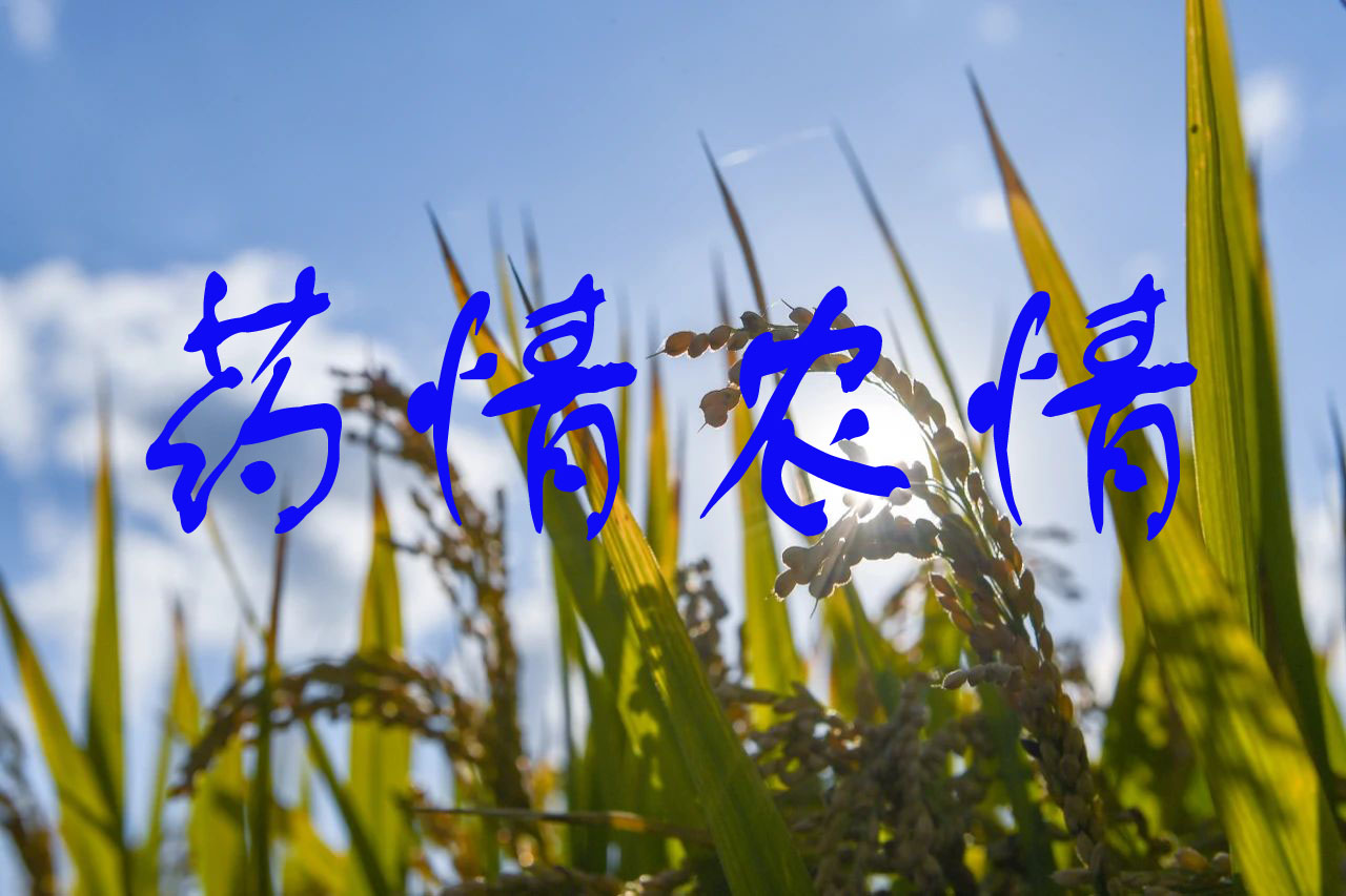 吡唑醚菌酯、氯虫苯甲酰胺、双草醚等原药价格上涨