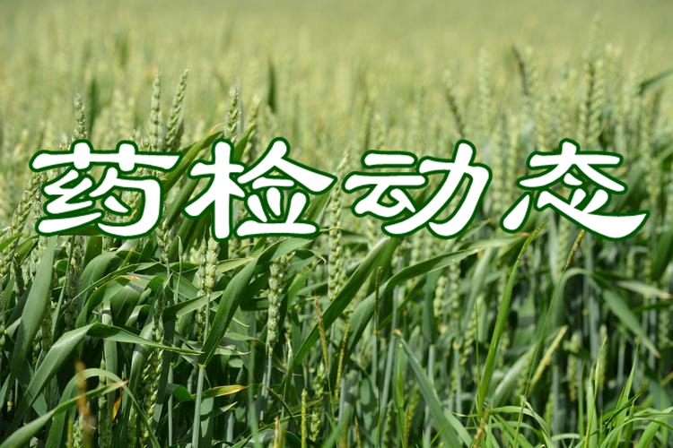甘肃省国家级绿色食品原料标准化生产基地增至19个